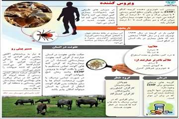 تب کریمه کنگو